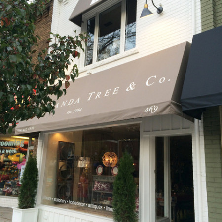 Jacaranda Tree Mount Pleasant Village BIA